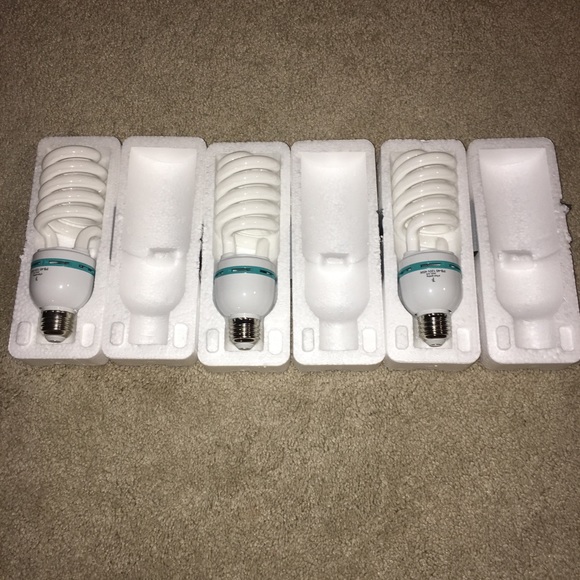 Limo Studio Photography Photo Portrait Studio - Picture 3 of 4